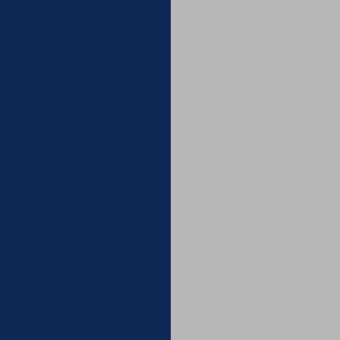 Fly the flag - Navy/Light Grey